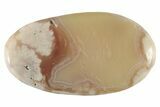 Polished Flower Agate Palm Stone - Madagascar #227003-1